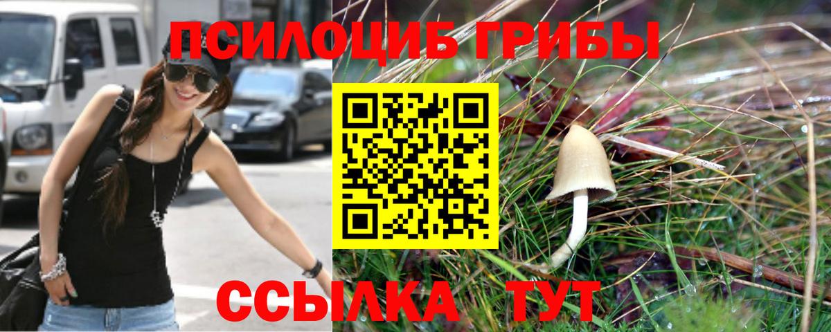 Галлюциногенные грибы Psilocybe  Галлюциногенные грибы Cubensis  Когалым  Вход с VPN 